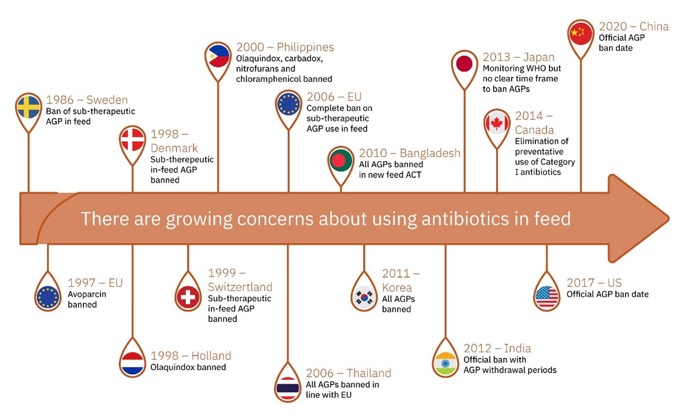 The future of antibiotics in poultry feed Alltech